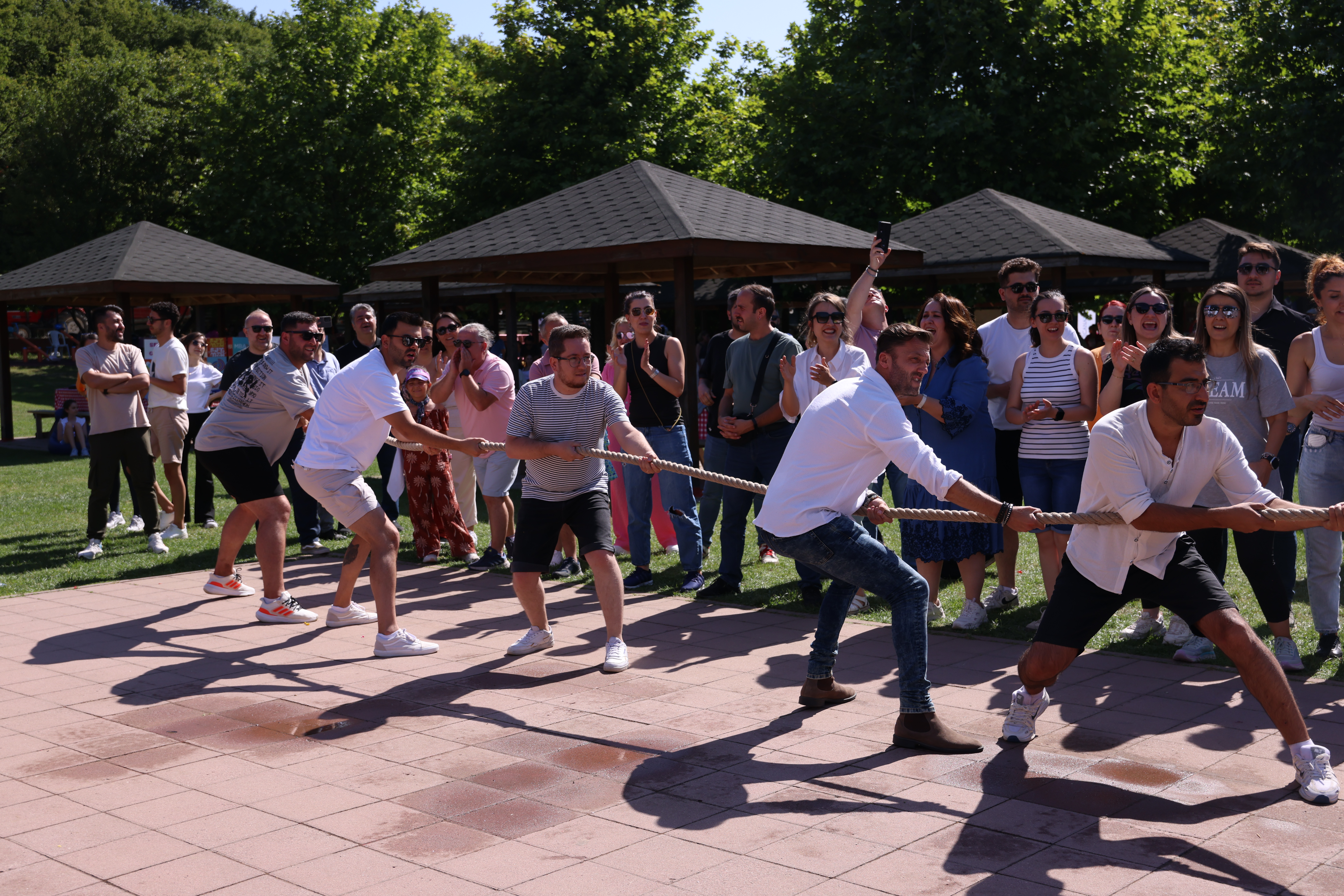 Şirket Piknik Organizasyonları - MBA OKULLARI